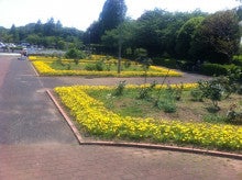 公園