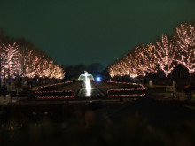 昭和記念公園