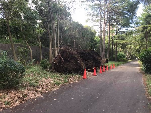 散歩道